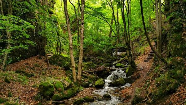 ЗА ЕДИН ДЕН ПО КРАСИВАТА ЕКОПЪТЕКА”СТРУИЛИЦА-КАЛЕТО-ЛЪКАТА”-гр.Девин